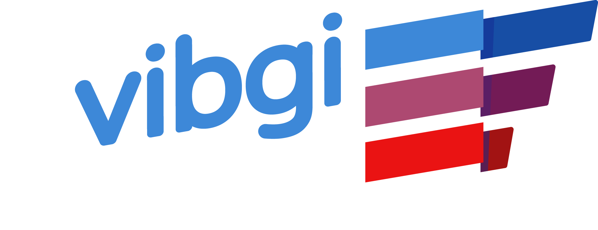 VIBGi Logo